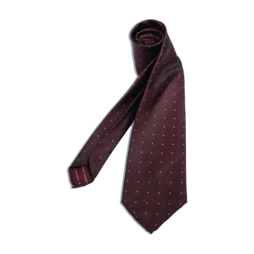 🎁 Burgundy men's necktie with cream pin dots (100% off)