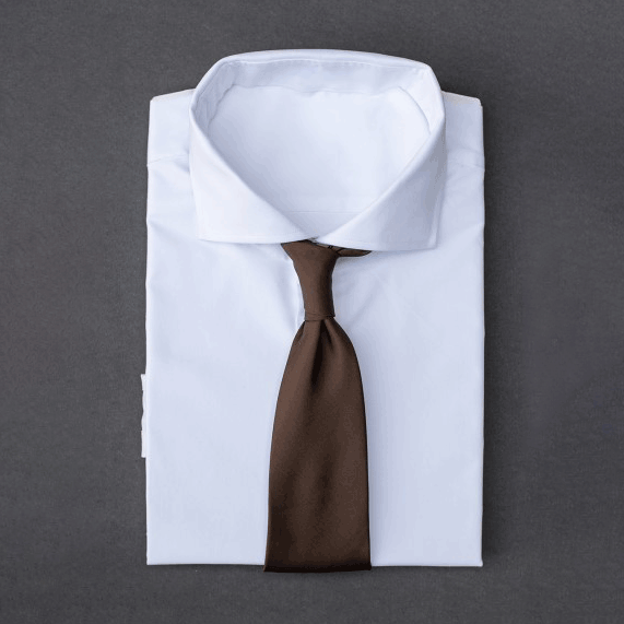 🎁 Rich chocolate brown men's necktie (100% off)