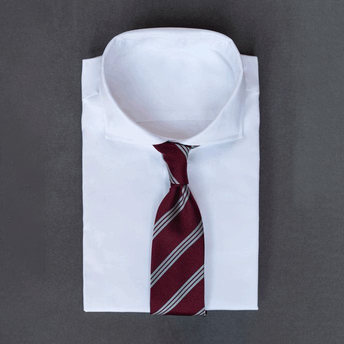 🎁 Deep burgundy men's necktie with regimental stripes in silver/light gray & white (100% off)
